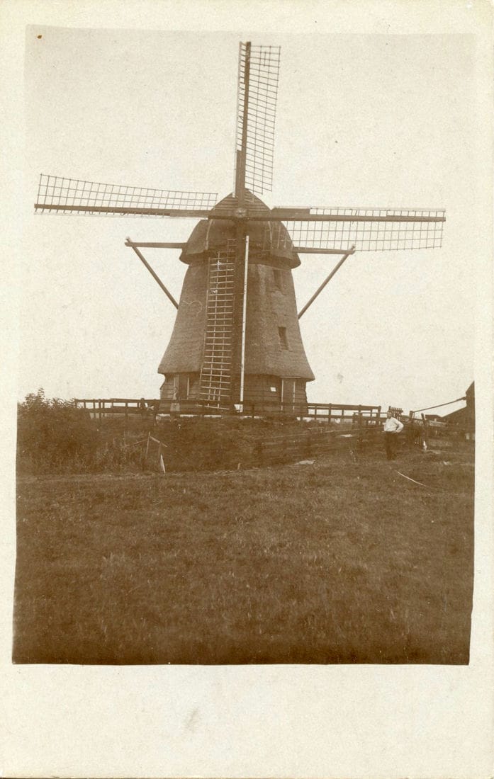 11894
